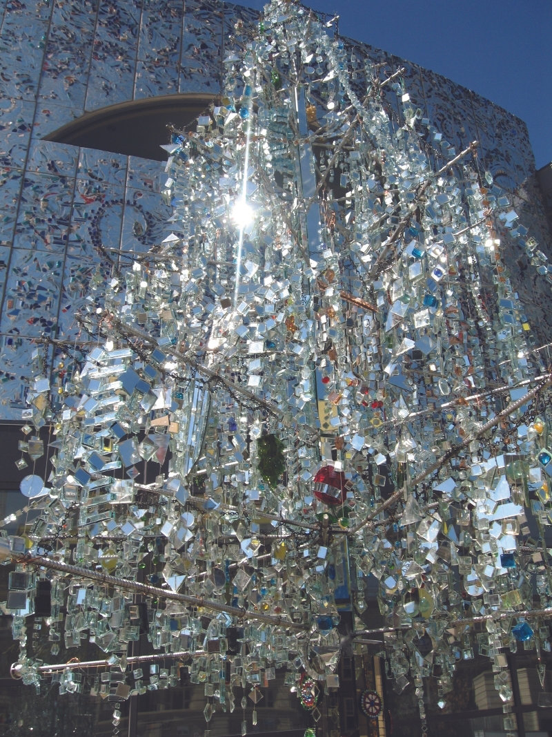 The Universal Tree of Life